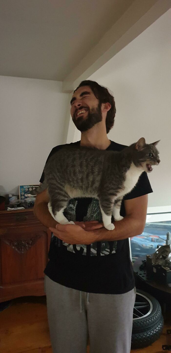 Mi gato maulla mucho, mi novio se está acostumbrando a ello