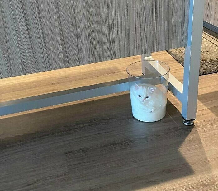 Un vaso de leche