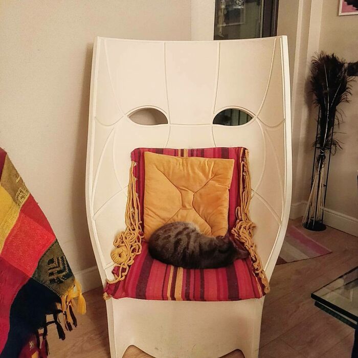 El Rey Tigre en su trono