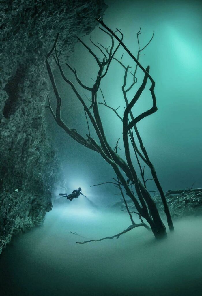 Buceo en cenotes en su máxima expresión