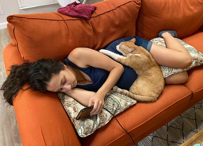 A mi mujer le faltan 3 semanas para dar a luz y a nuestros gatos les encanta acostarse en su barriga 