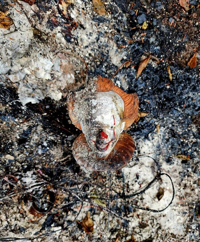Un vecino perdió su cobertizo por un incendio y solo quedó esta máscara de Halloween