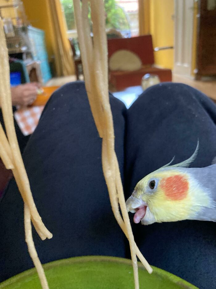 Ladrón de pasta