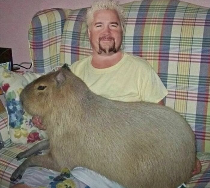 This Instagram Account Collects The Most “Cursed Images” On The Internet, And Here Are 45 Of The Best Of The Worst Ones (New Pics)