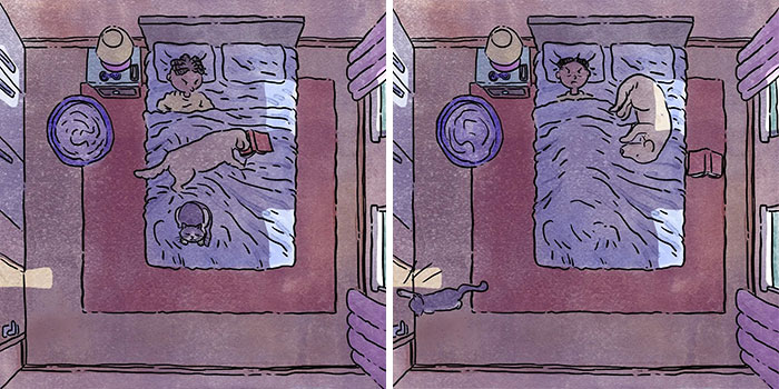 Este artista crea 6 nuevos y emotivos cómics sobre la vida con un gato y un perro inspirados en sus experiencias personales