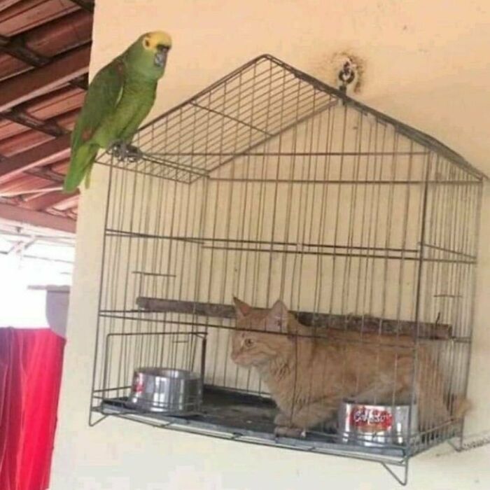 ¿?