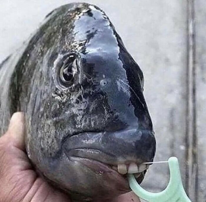 Aquí nomás, limpiándome los dientes
