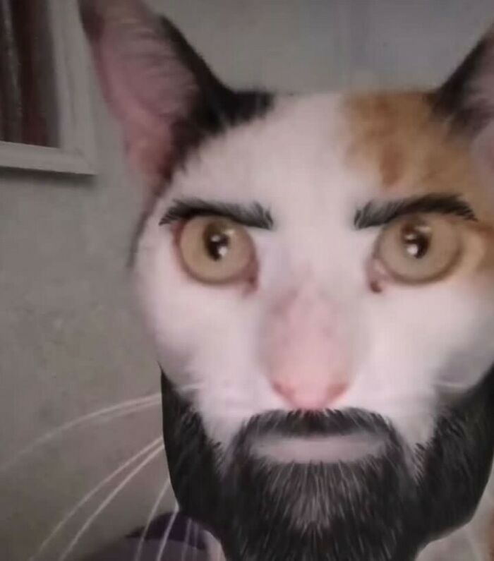 This Instagram Account Collects The Most “Cursed Images” On The Internet, And Here Are 45 Of The Best Of The Worst Ones (New Pics)