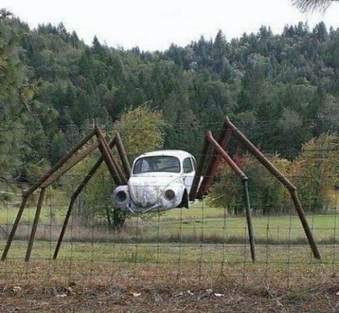 Herby tiene mal aspecto tras retirarse