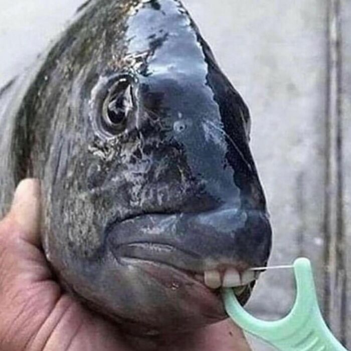 This Instagram Page Is Sharing Cursed Images And Here Are 50 Of The Best Of The Worst Ones