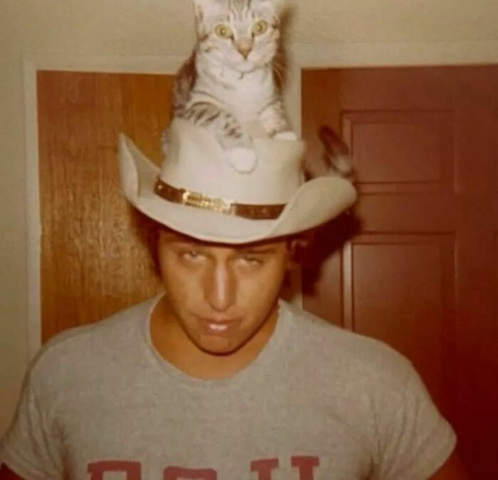 Un imán de gatitas