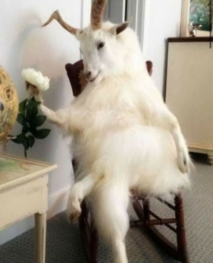 This Instagram Account Collects The Most “Cursed Images” On The Internet, And Here Are 45 Of The Best Of The Worst Ones (New Pics)