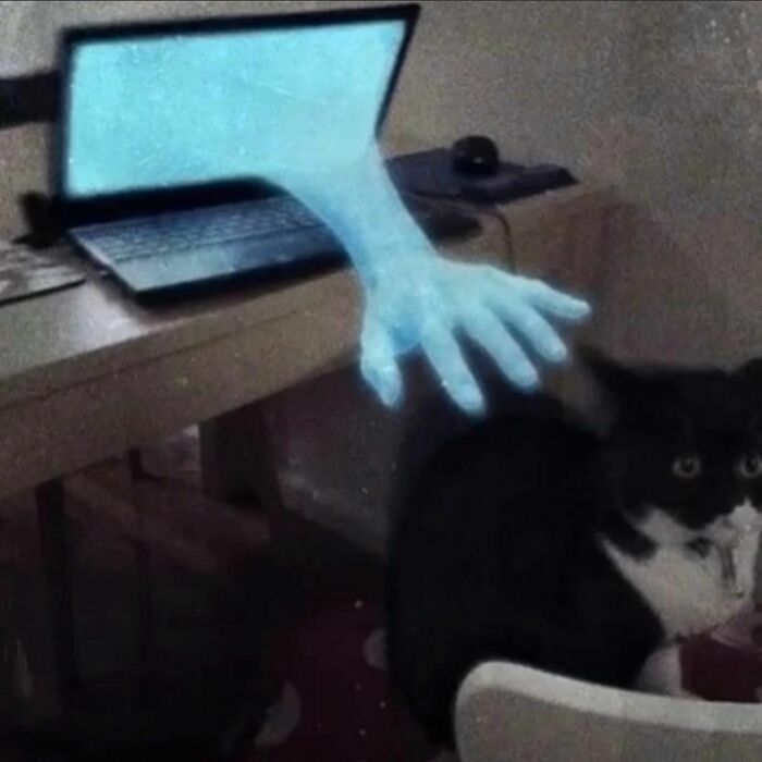This Instagram Account Collects The Most “Cursed Images” On The Internet, And Here Are 45 Of The Best Of The Worst Ones (New Pics)