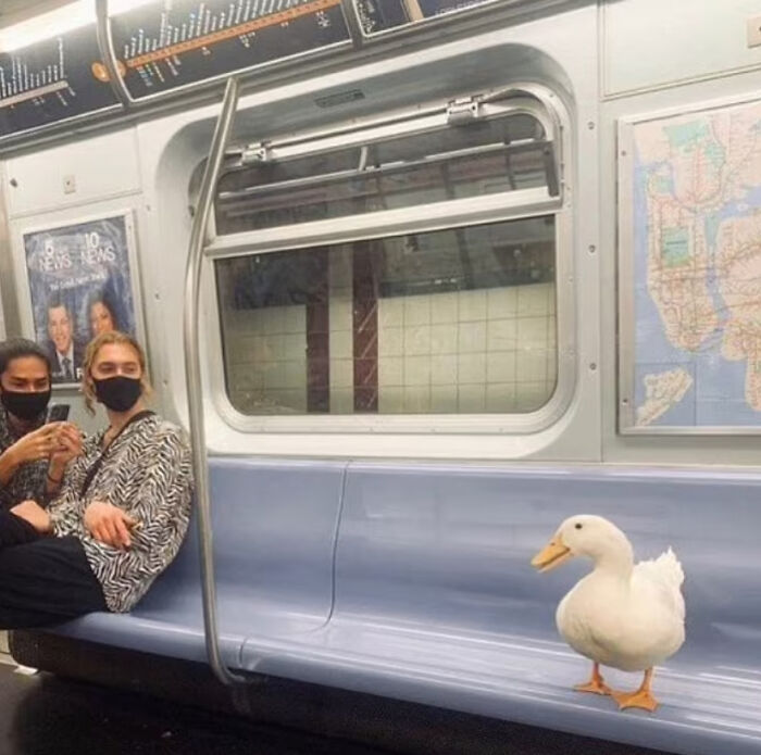 This Instagram Account Collects The Most “Cursed Images” On The Internet, And Here Are 45 Of The Best Of The Worst Ones (New Pics)