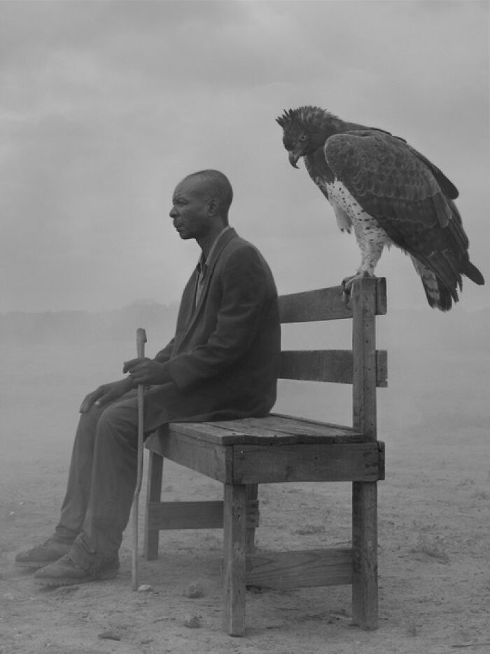 35 Selected Best Images Of Animals, As Shared By This Instagram Page