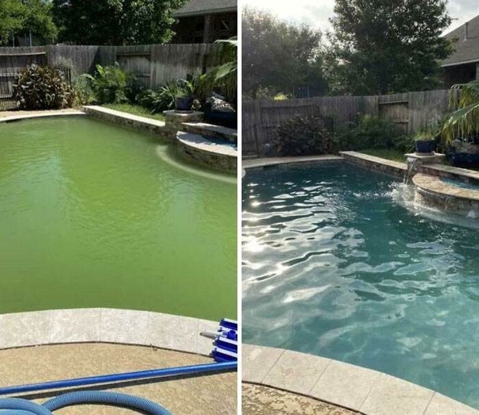 La magia de la cuarentena, los músculos doloridos de fregar, una quemadura solar, y un cóctel de productos químicos: transformar mi piscina sucia de un pantano a un oasis