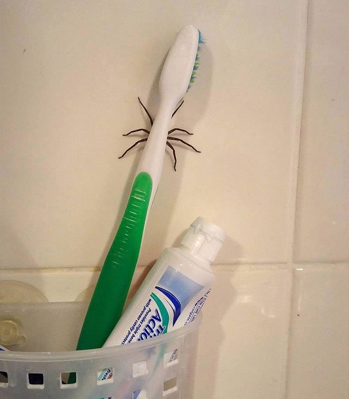 This Instagram Page Is Sharing Cursed Images And Here Are 50 Of The Best Of The Worst Ones