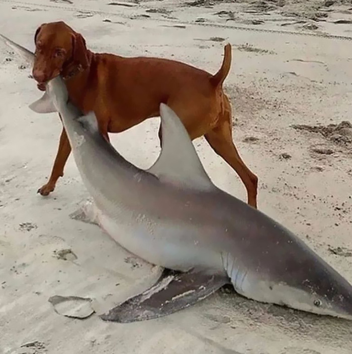 This Instagram Page Is Sharing Cursed Images And Here Are 50 Of The Best Of The Worst Ones