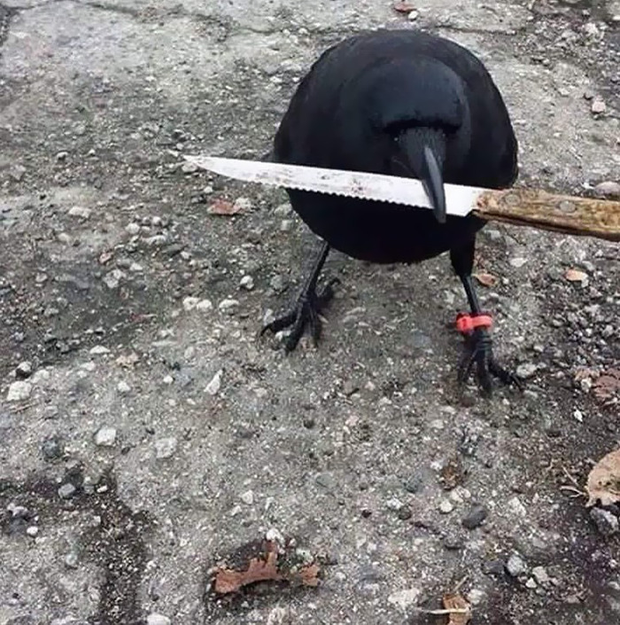 This Instagram Page Is Sharing Cursed Images And Here Are 50 Of The Best Of The Worst Ones