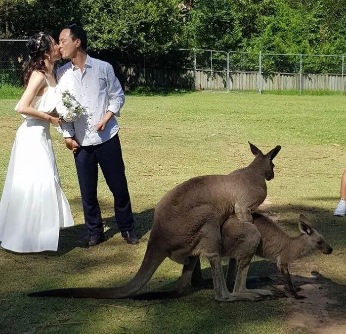 This Instagram Page Is Sharing Cursed Images And Here Are 50 Of The Best Of The Worst Ones