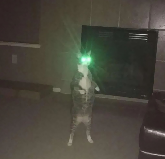 This Instagram Page Is Sharing Cursed Images And Here Are 50 Of The Best Of The Worst Ones
