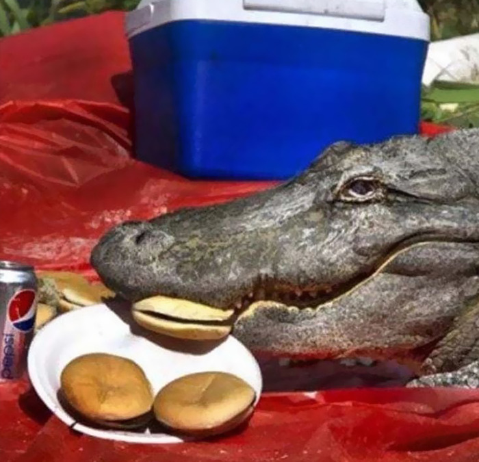 This Instagram Page Is Sharing Cursed Images And Here Are 50 Of The Best Of The Worst Ones