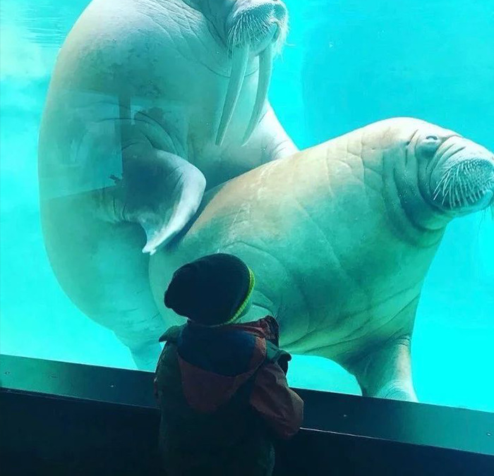 This Instagram Page Is Sharing Cursed Images And Here Are 50 Of The Best Of The Worst Ones