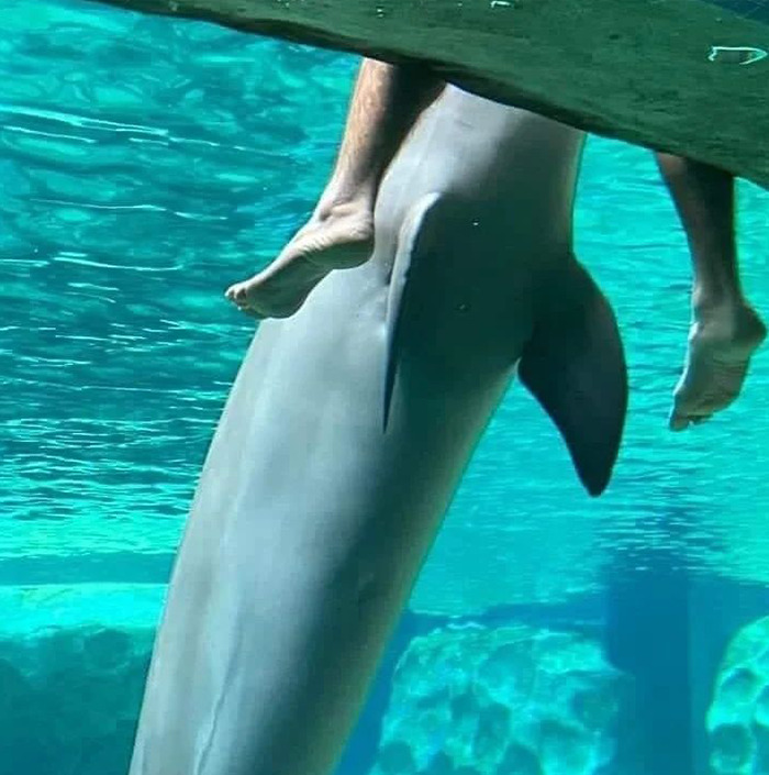 This Instagram Page Is Sharing Cursed Images And Here Are 50 Of The Best Of The Worst Ones