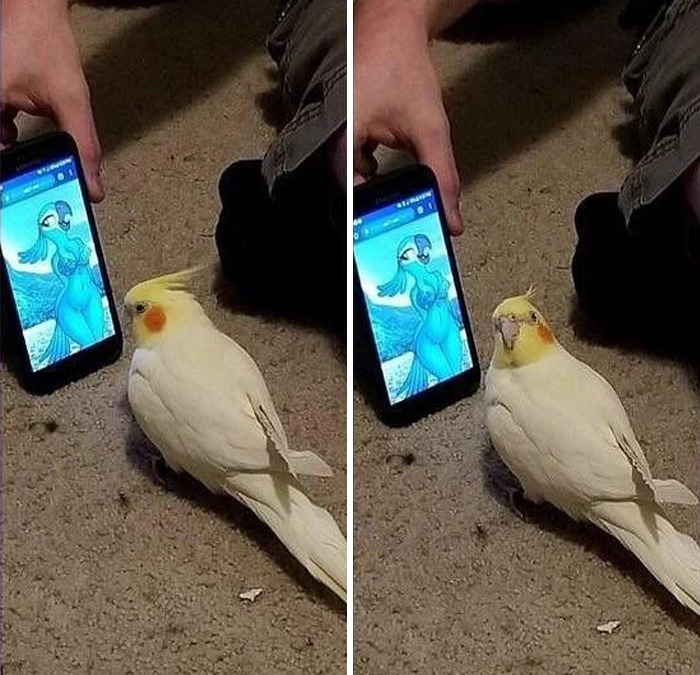 This Instagram Page Is Sharing Cursed Images And Here Are 50 Of The Best Of The Worst Ones