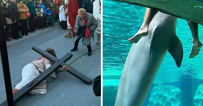 42 «memes malditos» que desprenden un aire inquietante, compartidos por esta página de Instagram