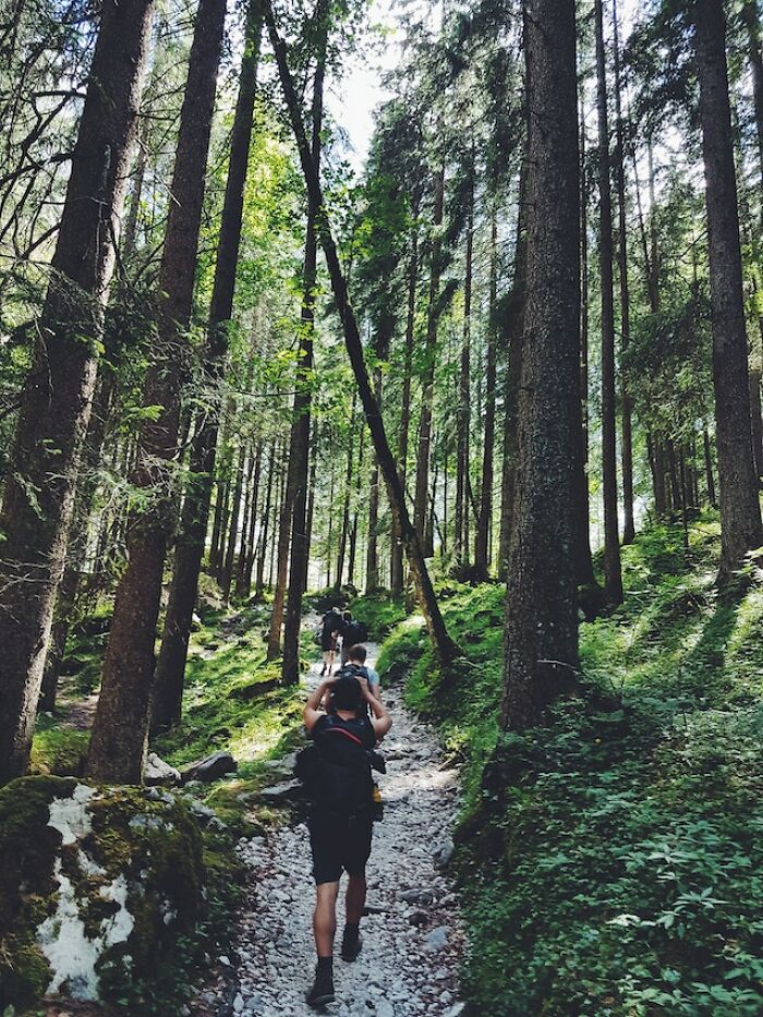 "Me encontré una oreja cortada": 20 historias aterradoras vividas por la gente en los bosques