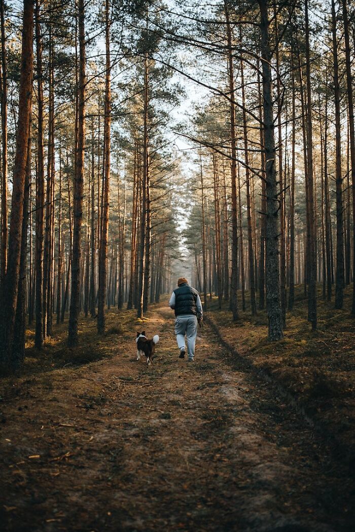 "Me encontré una oreja cortada": 20 historias aterradoras vividas por la gente en los bosques