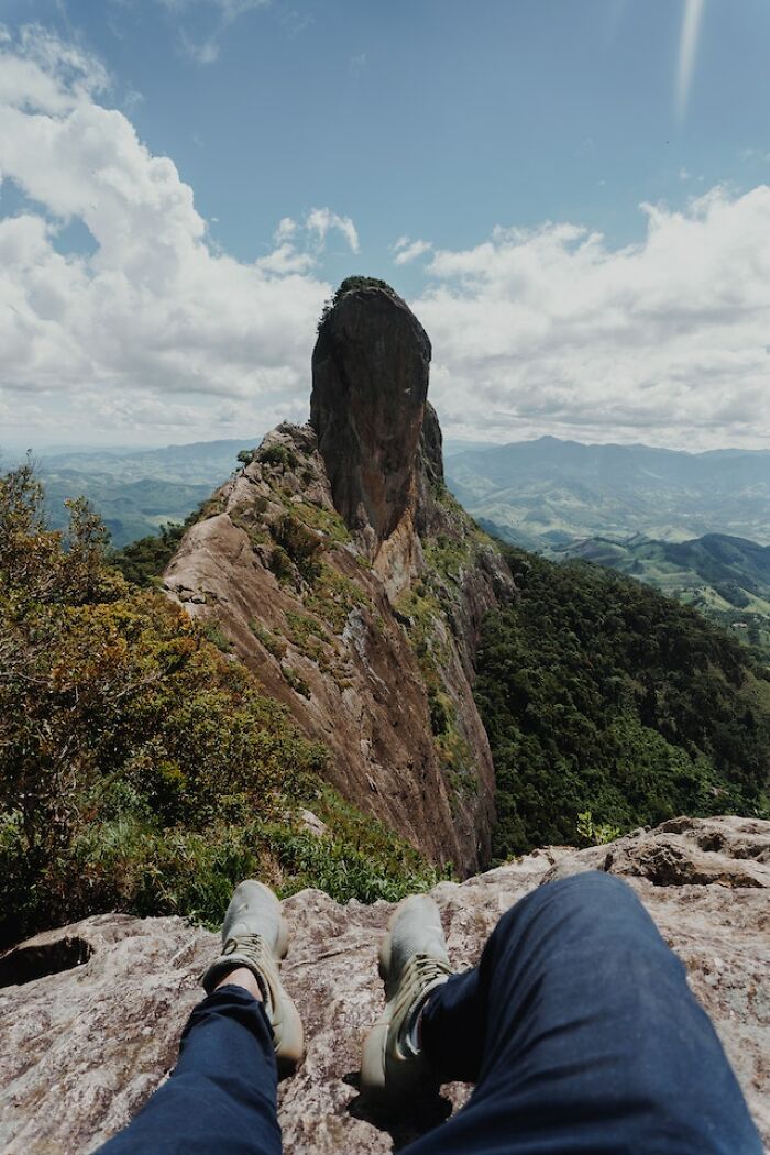 "Me encontré una oreja cortada": 20 historias aterradoras vividas por la gente en los bosques