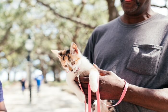 20 Divertidas historias de veterinarios sobre mascotas y sus dueños