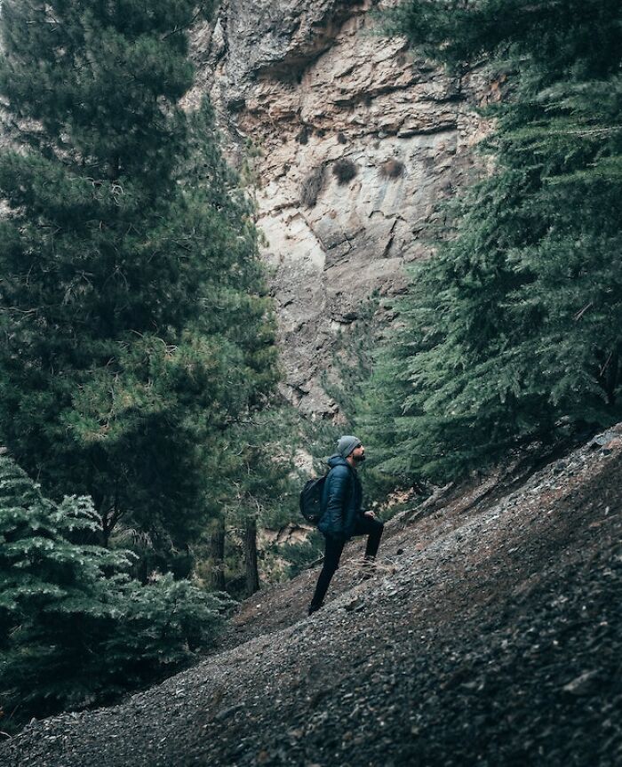 "Me encontré una oreja cortada": 20 historias aterradoras vividas por la gente en los bosques