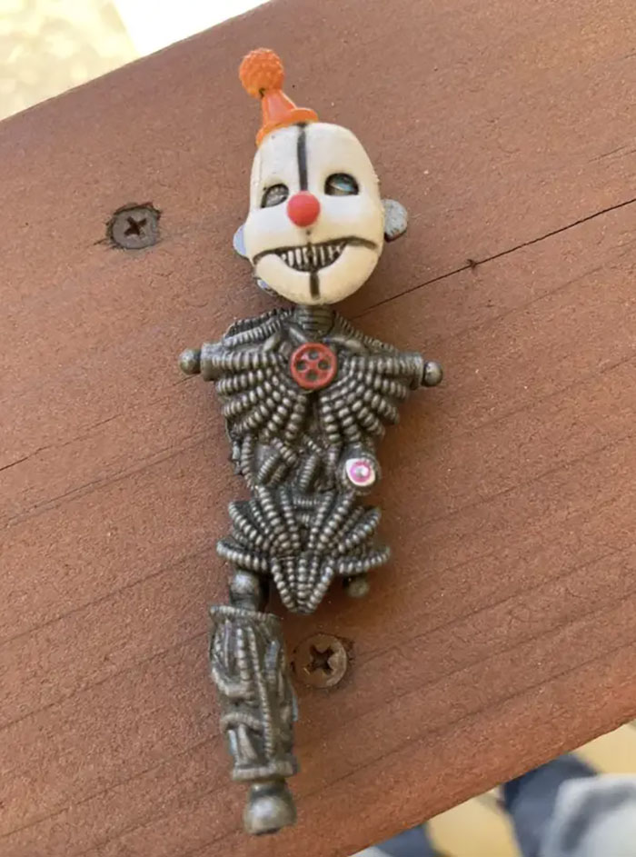 Mi madre encontró esto mientras limpiaba el patio de hojas en nuestra casa nueva
