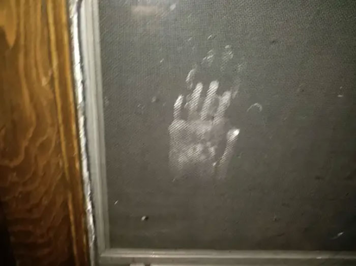 Anoche oí golpechitos y chasquidos, miré por la ventana y vi esto por fuera. Estoy en un 2º piso, pero hay un tejadillo bajo la ventana