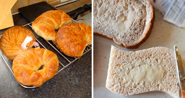 35 «Alimentos» de aspecto delicioso que nunca deberías comer (nuevas fotos)