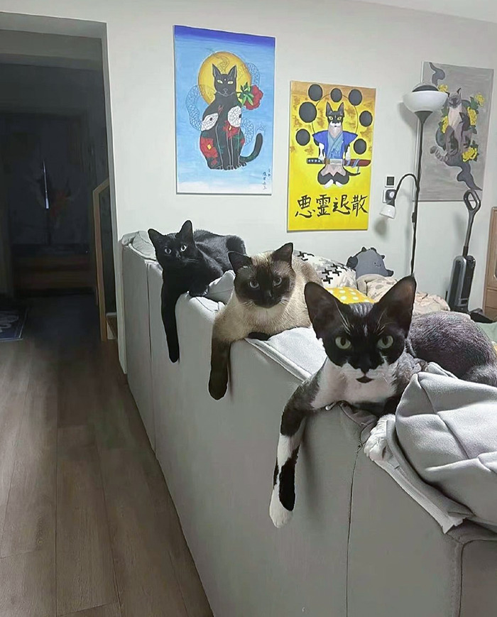 La pandilla 