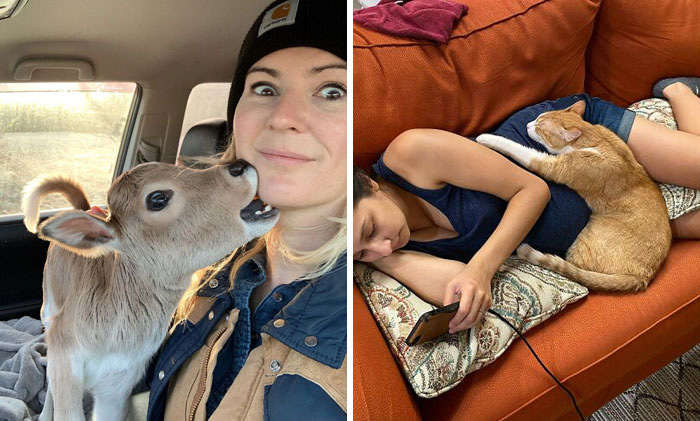 35 Fotos conmovedoras de animales adorables y lindos