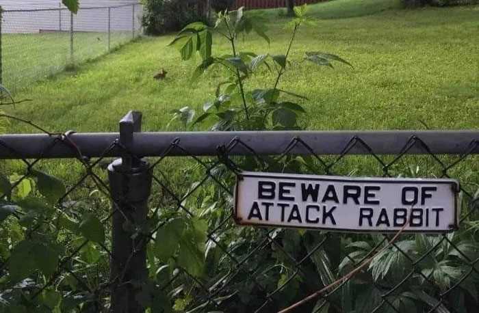 50 Times Signs Were So Funny, People Had To Share Them On This Facebook Page