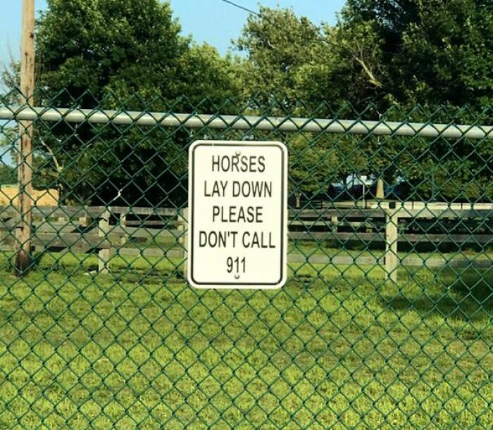 This Facebook Page Shares The Most Hilarious Signs And Here Are 50 Of Them