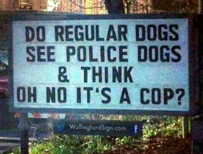 This Facebook Page Shares The Most Hilarious Signs And Here Are 50 Of Them