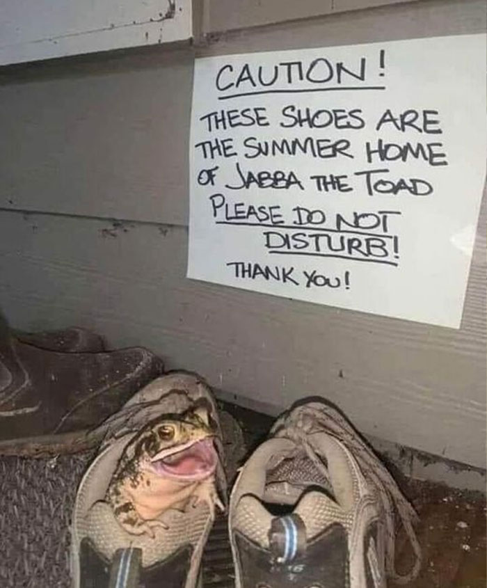 50 Times Signs Were So Funny, People Had To Share Them On This Facebook Page