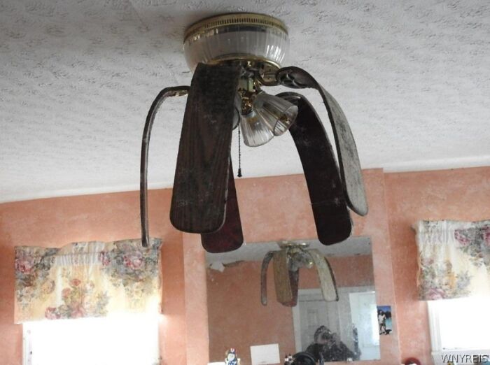 Con un poco de agua seguro que revive