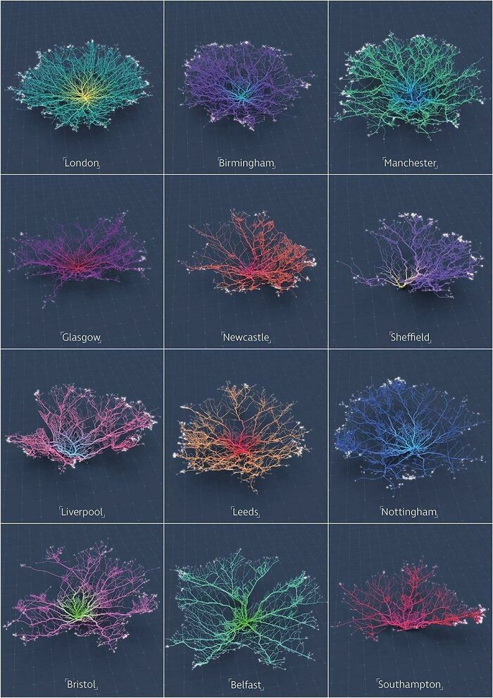 Las ciudades parecen corales al mostrar sus redes de carreteras