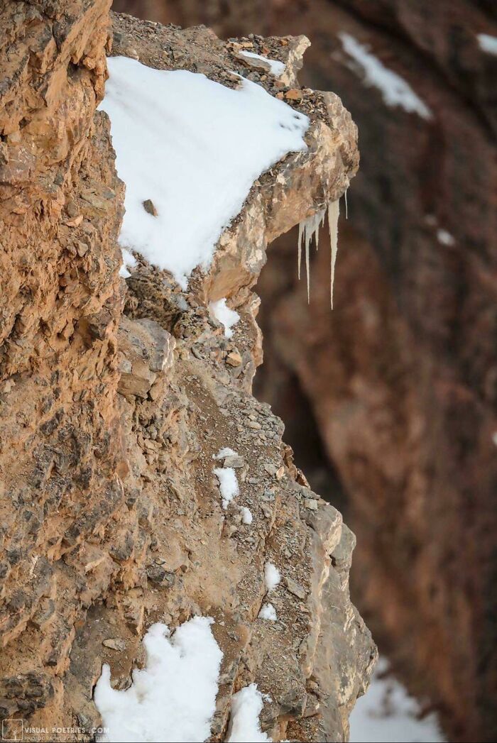 30 Photos That Look Normal At First Glance But Become Hilarious When You Catch The Small Details