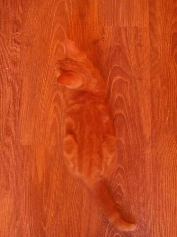 30 Photos That Look Normal At First Glance But Become Hilarious When You Catch The Small Details