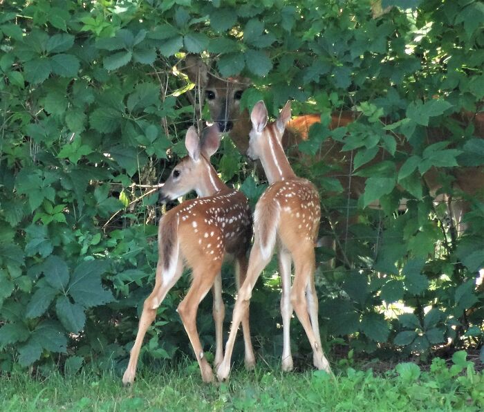 30 Photos That Look Normal At First Glance But Become Hilarious When You Catch The Small Details