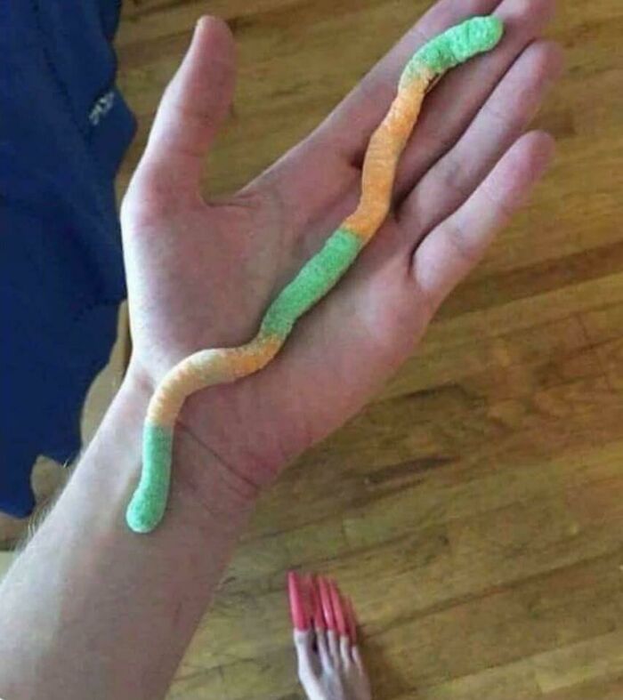 30 Photos That Look Normal At First Glance But Become Hilarious When You Catch The Small Details